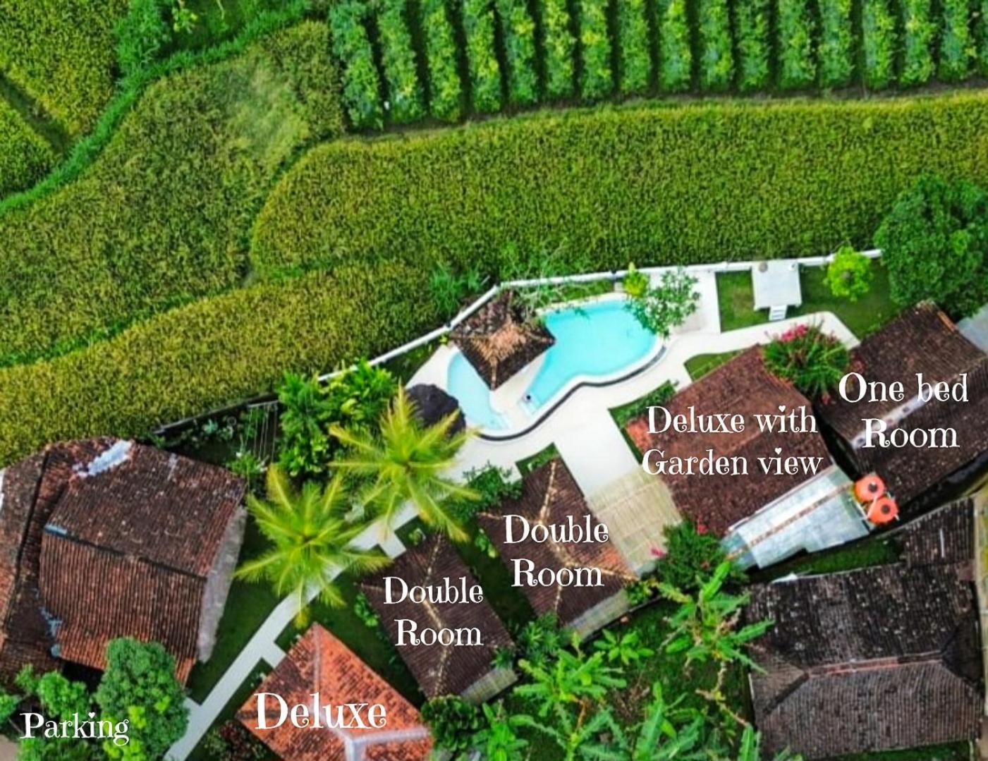Janur Bungalow Magelang Quarto foto